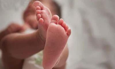মোংলায় খাল থেকে নবজাতকের লাশ উদ্ধার