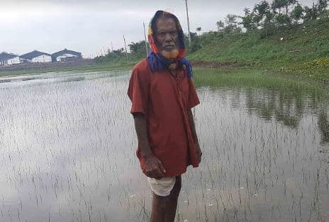 বৃষ্টির পানিতে ভাসছে কৃষকের স্বপ্ন, তথ্য নেই কৃষি অফিসে