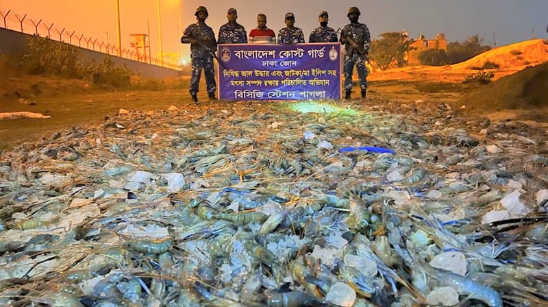 কোস্টগার্ডের অভিযানে জেলিমিশ্রিত চিংড়ী জব্দ