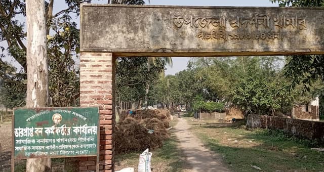 পাঁচবিবিতে সরকারী বন বিভাগ মাদক সেবীদের আখড়ায় পরিণত !