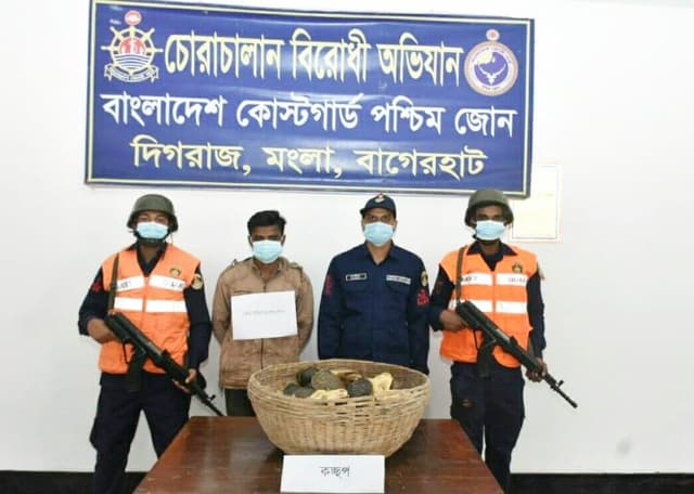 মোংলায় আটক ১"বিরল প্রজাতির ৫৫ কচ্ছপ উদ্ধার