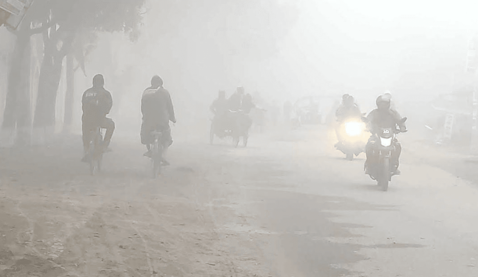 ঘন কুয়াশা আর ঠাণ্ডায় বিপর্যস্ত জনজীবন
