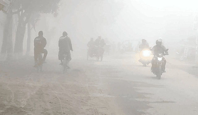 ঘন কুয়াশা আর ঠাণ্ডায় বিপর্যস্ত জনজীবন