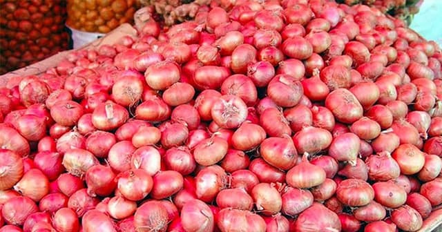 দুবাই থেকে হাজার টন পেঁয়াজ আসাছে