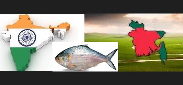 সাঁতার কেটে ভারত যাচ্ছে পদ্মা-মেঘনার ইলিশ