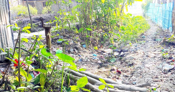 বরগুনার ৩০ বীর মুক্তিযোদ্ধা পরিবার দুর্দশায় জর্জরিত