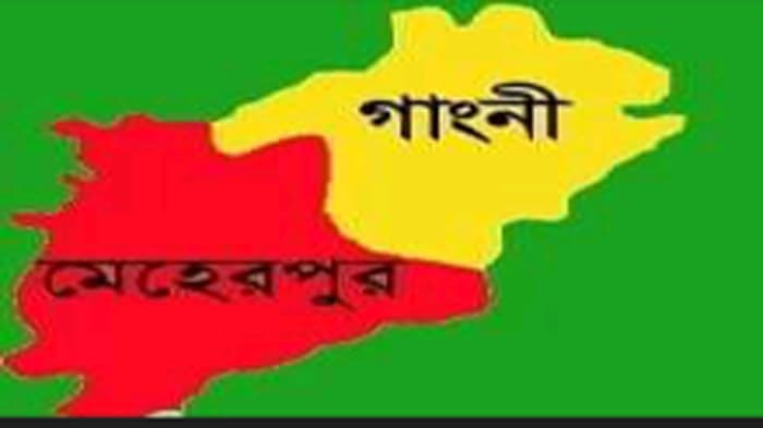 গাংনীতে বিজয় দিবস উদযাপন হচ্ছে অশ্লীল ডিজে গানে !