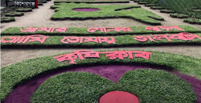 সবুজ ঘাসে লাল সবুজের পতাকা