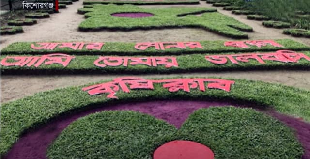 সবুজ ঘাসে লাল সবুজের পতাকা