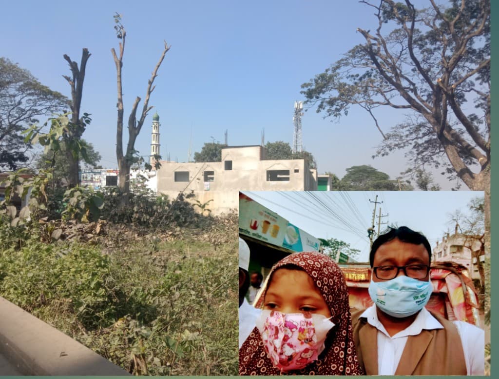মেহজাবিন কবরস্থানে গাছ কেটেছে কেন? তারা কি স্বপ্নে দেখেছে!