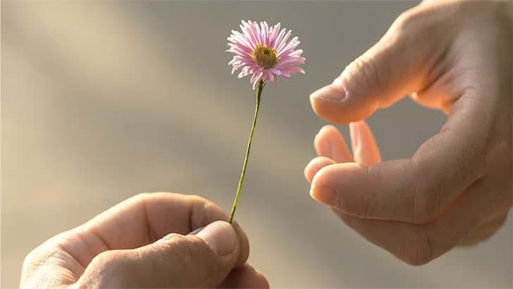 সাহায্য চাওয়া সম্পর্কে নবিজি (সা.) কী বলেছেন?