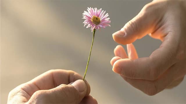 সাহায্য চাওয়া সম্পর্কে নবিজি (সা.) কী বলেছেন?