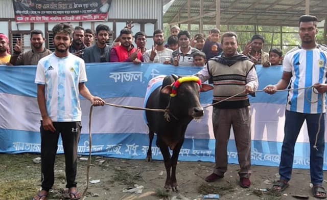 খেলছে আর্জেন্টিনা, কোটালীপাড়ায় গরু জবাই করে নৈশভোজের আয়োজন