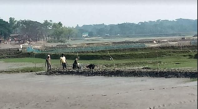 আশাশুনিতে পানিউন্নয়ন বোর্ডের জমি দখল করে ইট ভাটা, দেখার নেই কেউ!