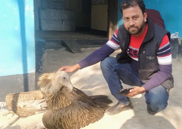 লোকালয়ে পড়ে থাকা অসুস্থ বাজপাখি উদ্ধার করে বন বিভাগে হস্তান্তর