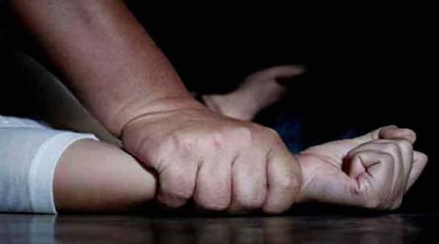 স্ত্রী সংসার করতে না চাওয়ায় শ্যালিকাকে ধর্ষণ