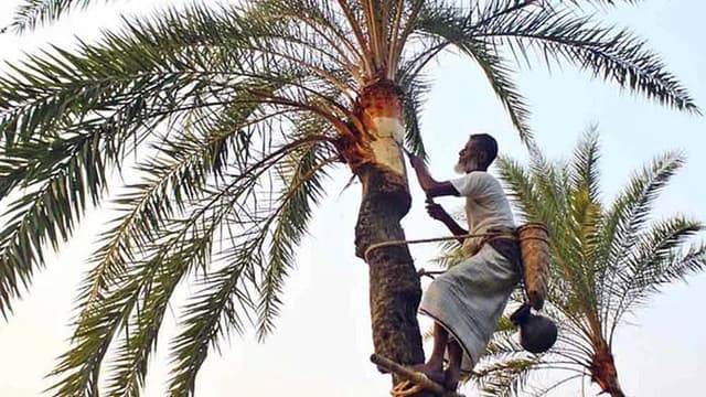 বরিশালে হাক-ডাক নেই গাছিদের, হারিয়ে যাচ্ছে খেজুরের রস