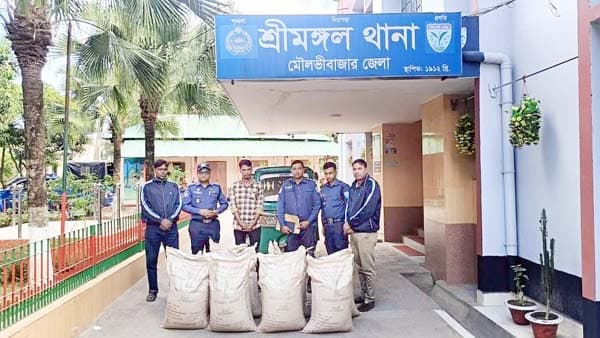 শ্রীমঙ্গলে ১০ বস্তা ভারতীয় চোরাই চিনিসহ গ্রেফতার-১