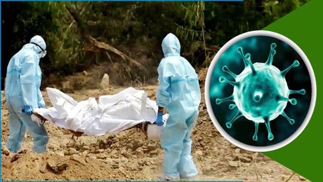 করোনা: দেশে ২৪ ঘণ্টায় শনাক্ত ২৯১, একজনের মৃত্যু