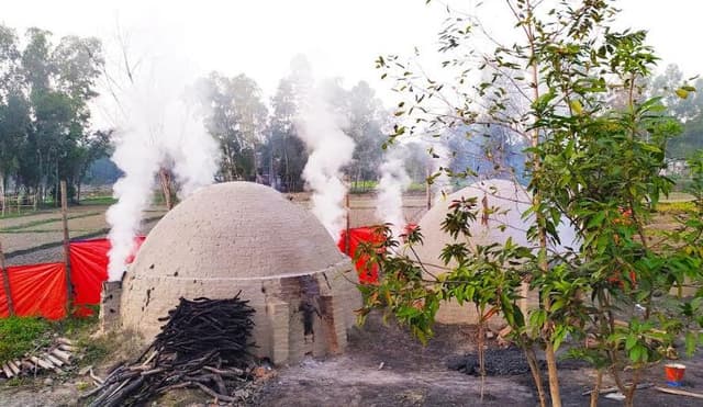 কালিয়াকৈরে কয়লার ভাটায় পুড়ছে শাল গজারী কাঠ