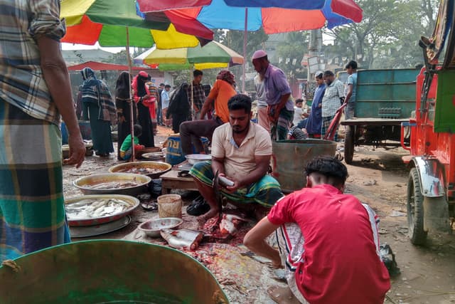 সরাইল বাজারে মাছ কেটে জীবিকানির্বাহ ওদের