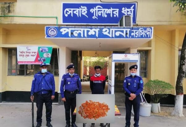 পলাশে ২৫০ পিস ইয়াবাসহ মাদক কারবারি গ্রেপ্তার