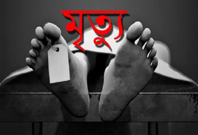 উল্লাপাড়ায় গাছ কাটতে গিয়ে এক বৃদ্ধার মৃত্যু