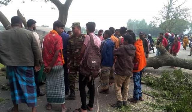 ধামরাইয়ে সিএনজির ওপর গাছ পরে শিক্ষার্থী নিহত