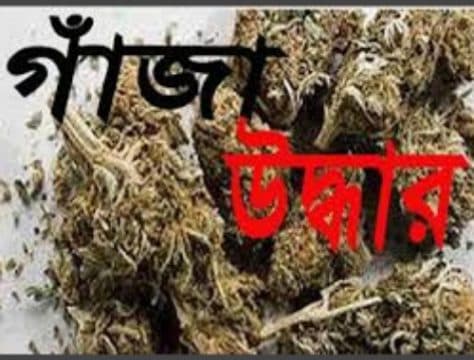 ভূরুঙ্গামারী সীমান্তে ১০ কেজি গাঁজা উদ্ধার