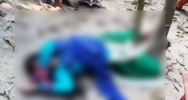 কালিয়াকৈরে স্ত্রীকে গাছে সাথে বেধে  নিযার্তন