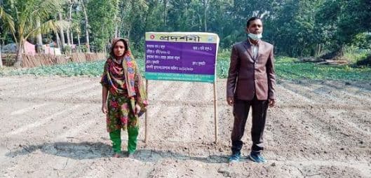আশাশুনিতে বারি রসুন ও ভুট্টা প্রদর্শণী পরিদর্শন