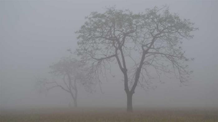 দেশে আগামী কয়েক দিন মধ্যরাত থেকে সকাল পর্যন্ত ঘন কুয়াশা পড়বে