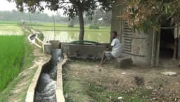 নবাবগঞ্জে বিএডিসির সেচে অতিরিক্ত অর্থ আদায়ের অভিযোগ, বিপাকে বোরো চাষিরা