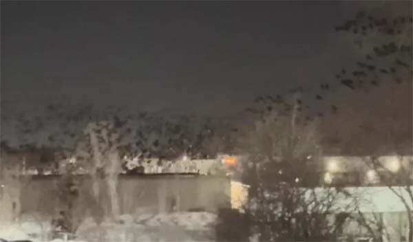 তেল আবিবের আকাশে কালো কাকের ঝাঁক, ইতিহাস বলছে মহাপ্রলয়ের পূর্বাভাস !