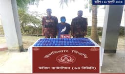 উখিয়া সীমান্তে দুই লাখ ইয়াবা উদ্ধার, বিজিবির হাতে কারবারি গ্রেপ্তার