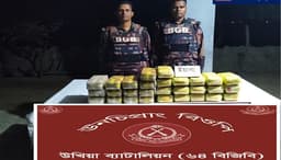ইয়াবা অর্থনীতি বাড়াচ্ছে অপরাধী ও লোভী চক্র