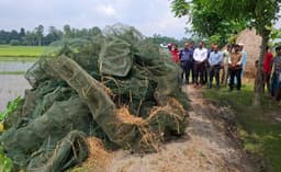 গোপালপুরে ১,৫০০ মিটার অবৈধ চায়না দুয়ারী জাল জব্দ, আগুনে ধ্বংস