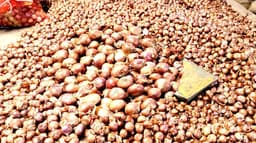 আমদানি বন্ধে হিলিতে পেঁয়াজের দাম আকাশছোঁয়া, বিপাকে ক্রেতা