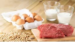 রমজানজুড়ে সস্তায় প্রাণিজ পণ্য দেবে সরকার