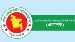 নতুন সরকারের প্রথম একনেক বৈঠক আজ, ১৭ প্রকল্প অনুমোদনের অপেক্ষা