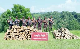 খাগড়াছড়িতে বিজিবির অভিযানে ৬৫ ঘনফুট অবৈধ কাঠ উদ্ধার