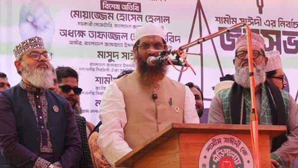 নির্বাচনে কোনো ইঞ্জিনিয়ারিং মেনে নেওয়া হবে না: মামুনুল হক