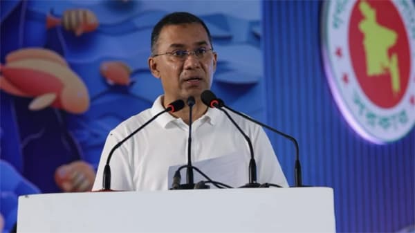 মৎস্য খাতে নতুন বাজার খুঁজতে উদ্যোক্তাদের আহ্বান প্রধানমন্ত্রীর