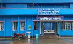 দাদির ওপর অভিমানে কীটনাশক খেয়ে কিশোরীর মৃত্যু