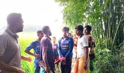 ঝিনাইদহে মাদকাসক্ত ছেলের হাতে মা খুন, আটক
