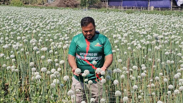 নামে কালো, দামে সোনা - কৃষক হুমায়নের বাজিমাত