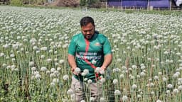 নামে কালো, দামে সোনা - কৃষক হুমায়নের বাজিমাত