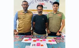 মৌলভীবাজারে ডিবি পুলিশের অভিযানে ৮১১ পিস ইয়াবাসহ গ্রেফতার ১