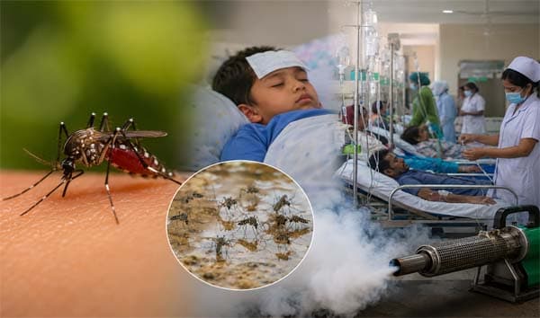 ডেঙ্গুর নতুন হটস্পট গ্রামাঞ্চল, উদ্বেগে হাসপাতাল কর্তৃপক্ষ