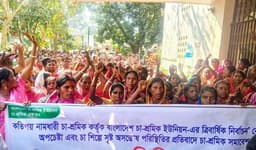 শ্রীমঙ্গলে চা-শ্রমিক ইউনিয়নের নির্বাচন বানচালের অপচেষ্টার প্রতিবাদে বিক্ষোভ